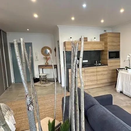 Grand Studio Cosy Cannes Centre Exterior foto