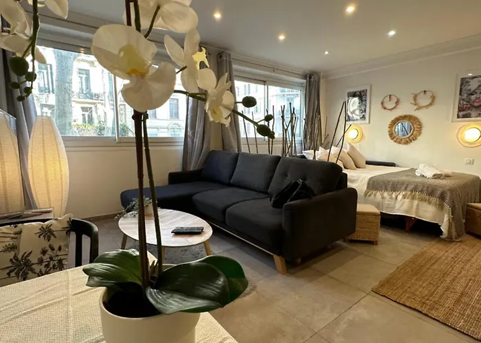 Grand Studio Cosy Cannes Centre