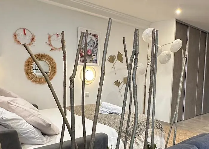 Grand Studio Cosy Cannes Centre