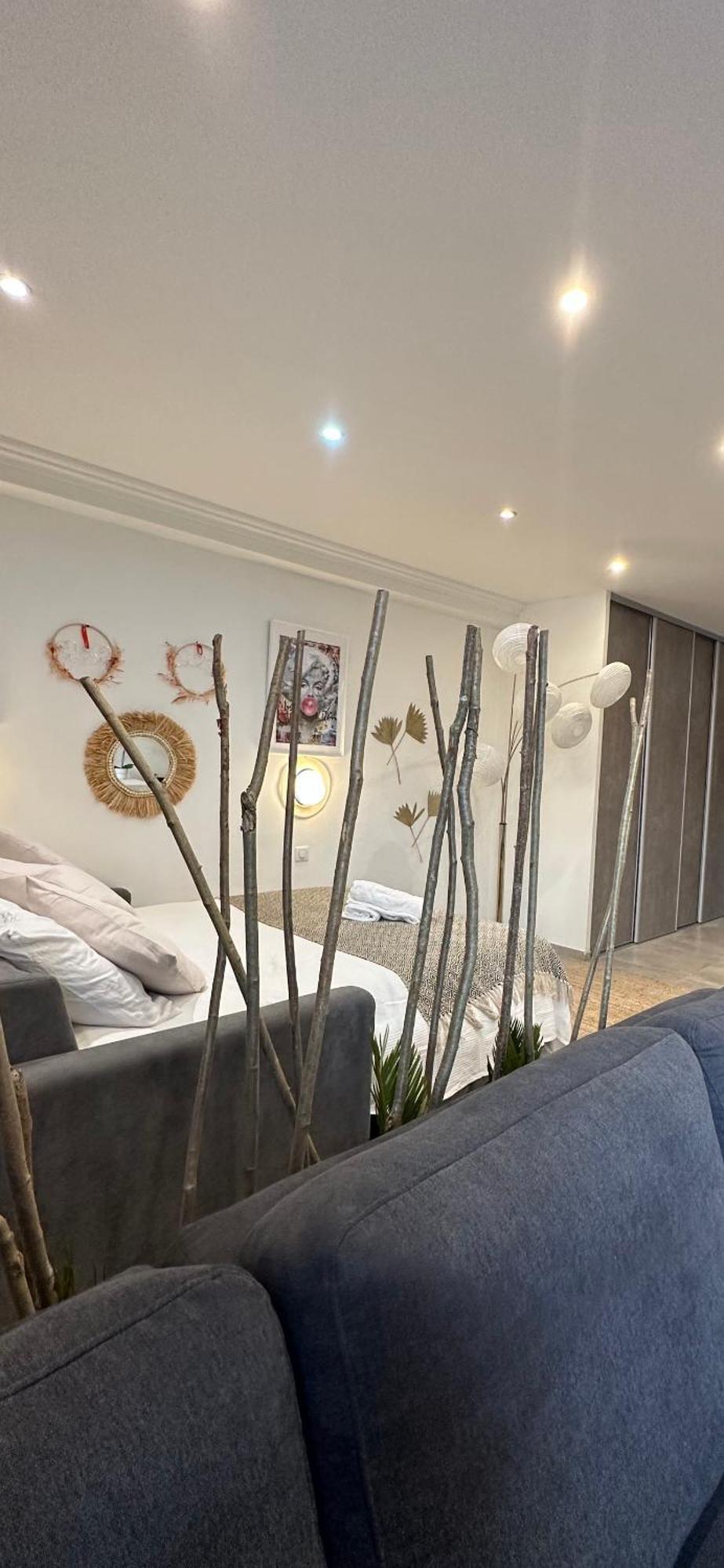 Grand Cosy Centre Appartement *